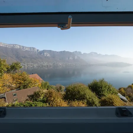 The View *