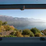 The View *